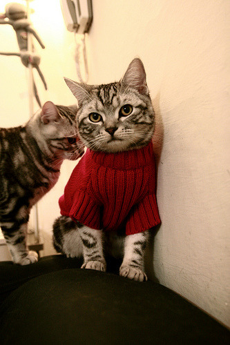 红魔后防定海针！范戴克关键战一锤定音，曼联险胜南美风暴